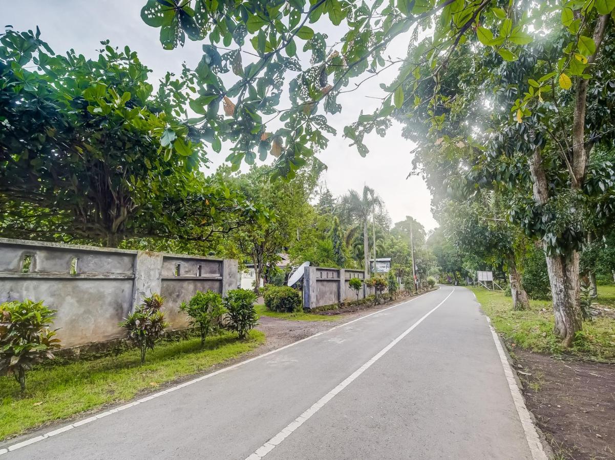 Oyo 90988 Tangkoko Jungle Homestay Rinondoran Eksteriør bilde