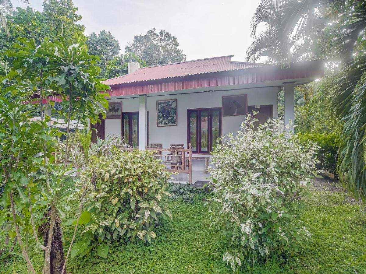 Oyo 90988 Tangkoko Jungle Homestay Rinondoran Eksteriør bilde