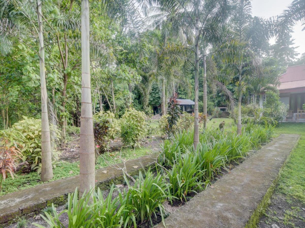 Oyo 90988 Tangkoko Jungle Homestay Rinondoran Eksteriør bilde
