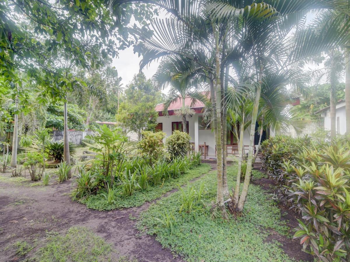 Oyo 90988 Tangkoko Jungle Homestay Rinondoran Eksteriør bilde