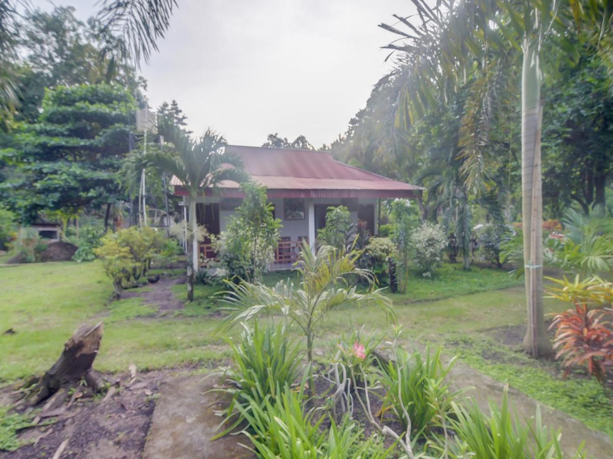 Oyo 90988 Tangkoko Jungle Homestay Rinondoran Eksteriør bilde